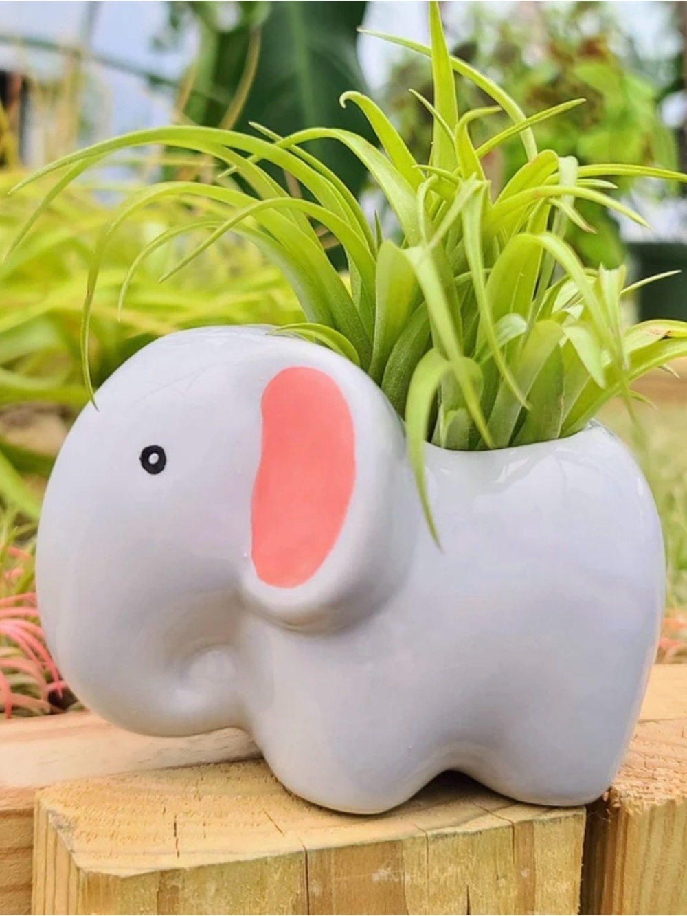 Emmy Ceramic Elephant Planter with Pink Ears nib